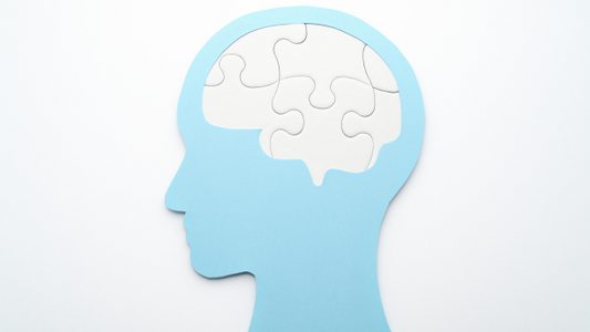 The Blueprint for Mental Mastery