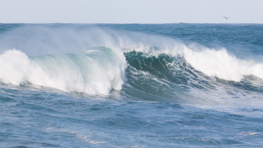 3 Steps to Managing Performance Riptide